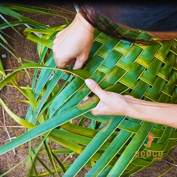 Weaving Coconut Leave Workshop